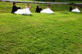 Les Maries meme 1 * 5184 x 3456 * (15.57MB)